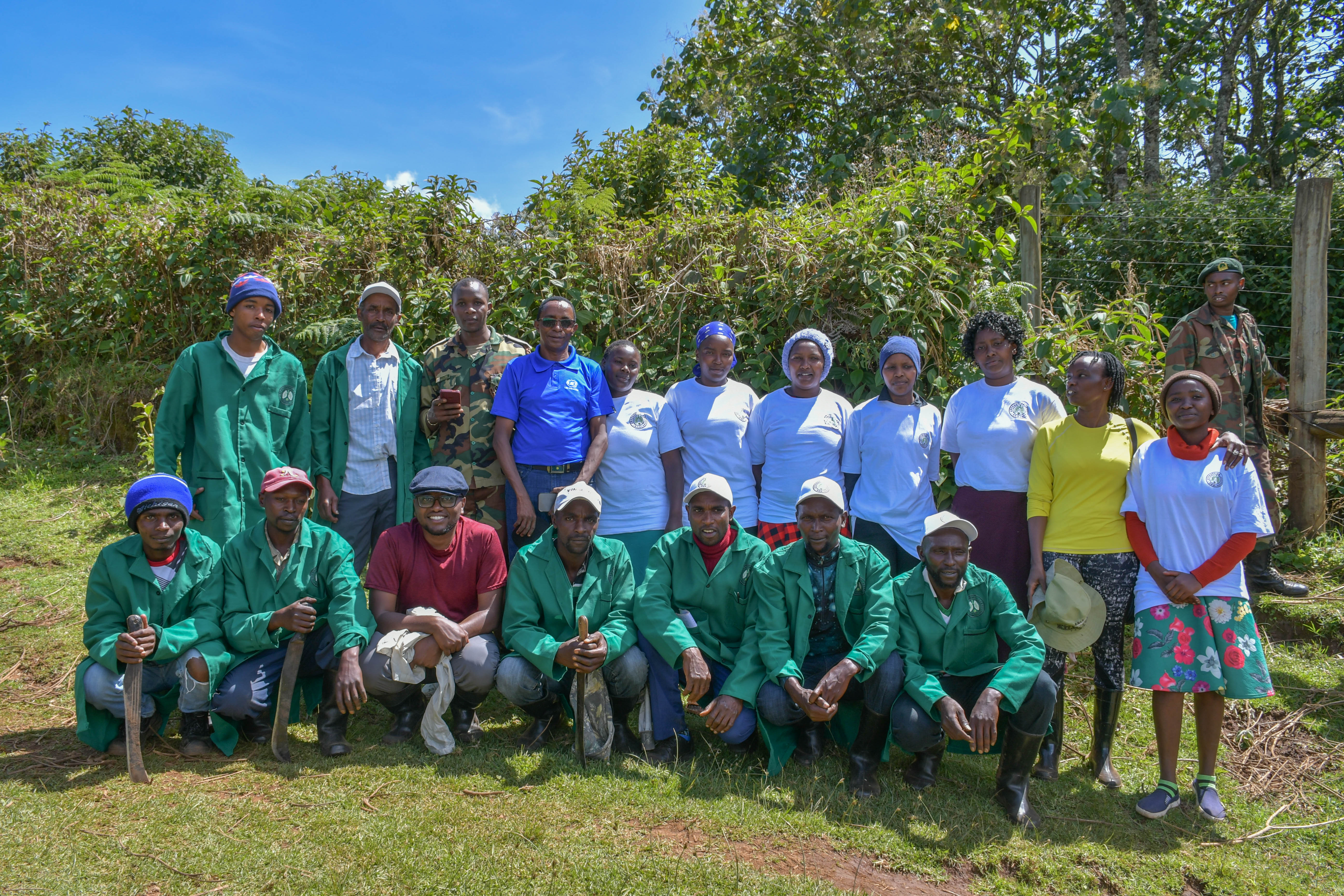 Tree Planting Activity